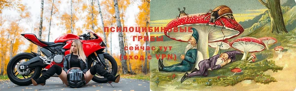 соль ск Армянск