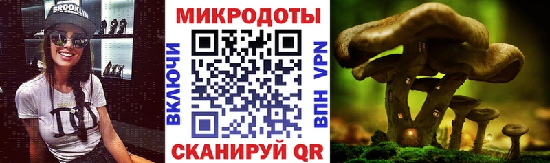 где купить наркотик  Демидов  это как зайти  Псилоцибиновые грибы прущие грибы 